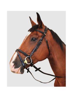 KenTaur Trensenzaum Tryon curved schwarz