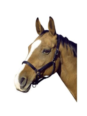 NaturalLine Lederhalfter NewOrleans schwarz