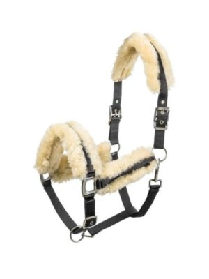 Equi-Théme Halfter Mouton véritable schwarz